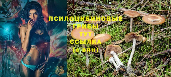 мдма Михайлов