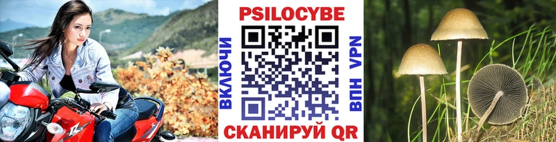 Псилоцибиновые грибы MAGIC MUSHROOMS даркнет сайт Звенигово